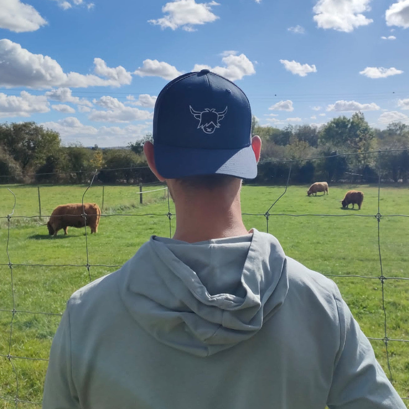 Stylish embroidered highland cow cap