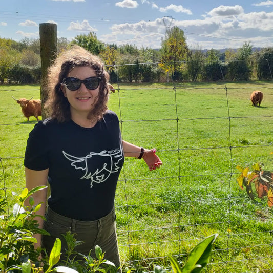 Silhouette highland cow line art head t-shirt for women