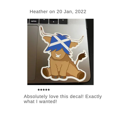 customer review of the highland cow sticker
